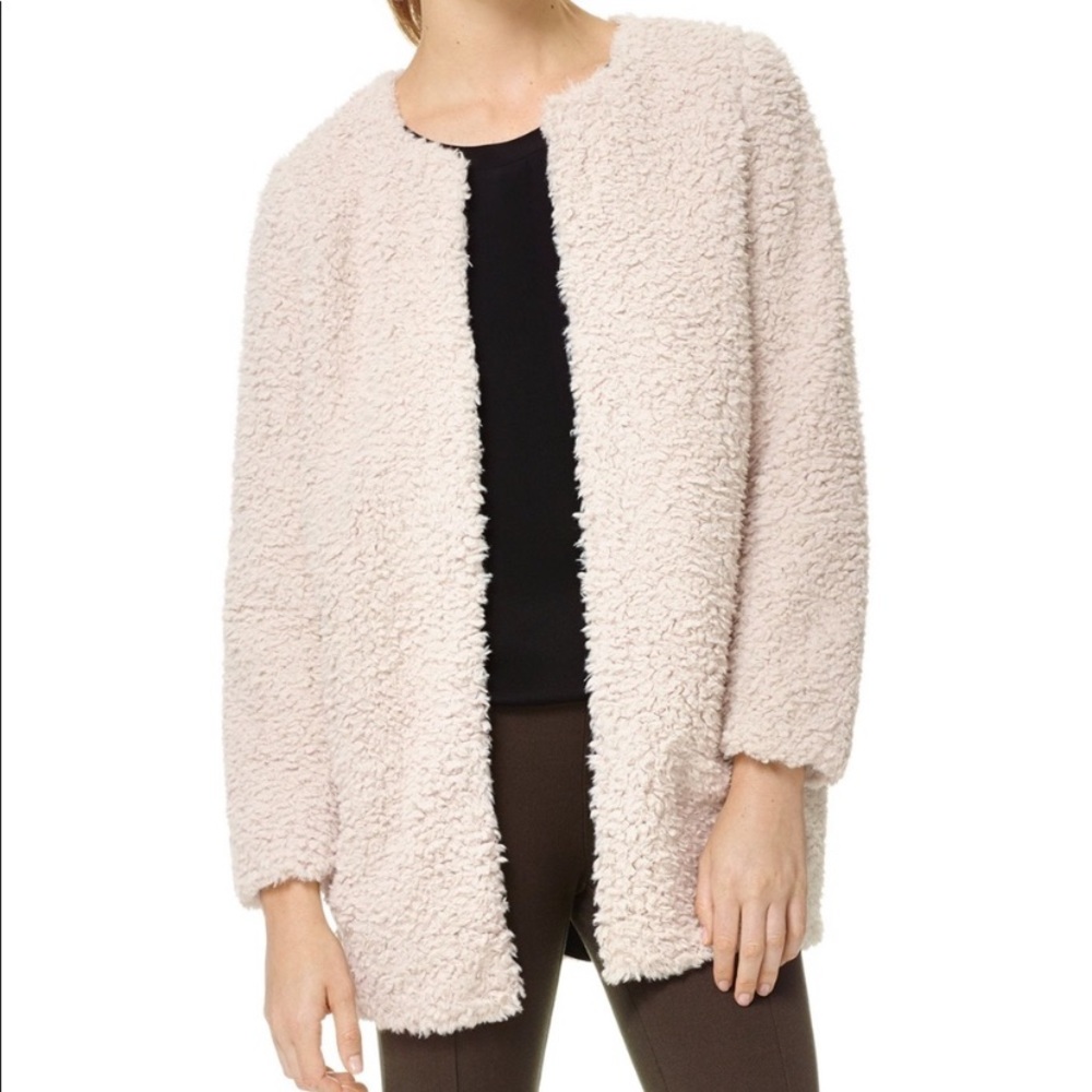 Aritzia Wilfred • Laboratoire Teddy Bear Sherpa Coat